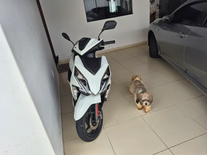 Honda elite