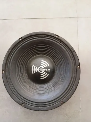 Auto-falante magnum 12 polegadas 250rms