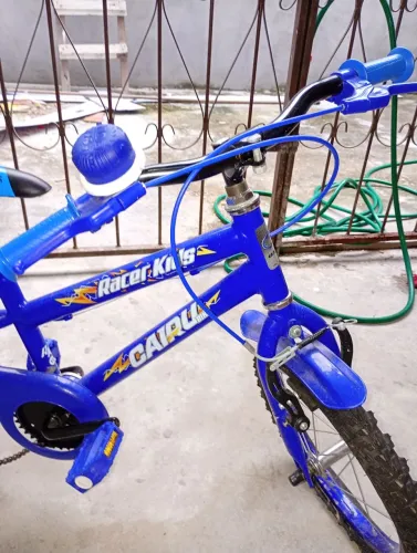 Bicicleta infantil masculino 