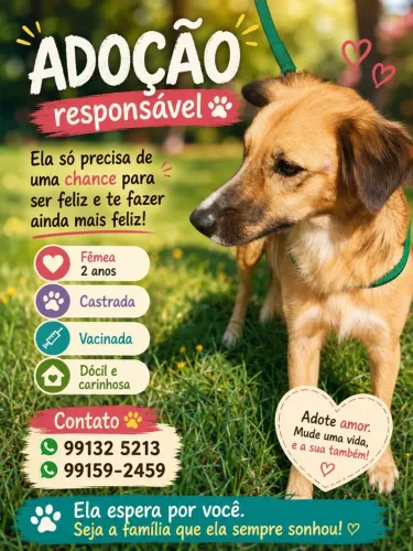 Adoção responsável