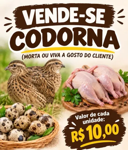 Vende CODORNAS