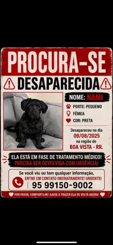 Roubada no caçari