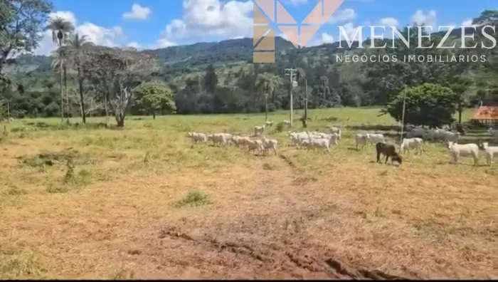 Sítio à venda proxima a rodovia de Cristais Paulista
