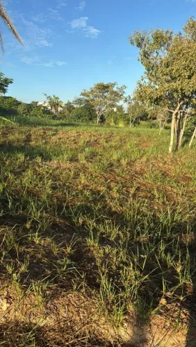 TERRENO NO RESIDENCIAL MORUMBI