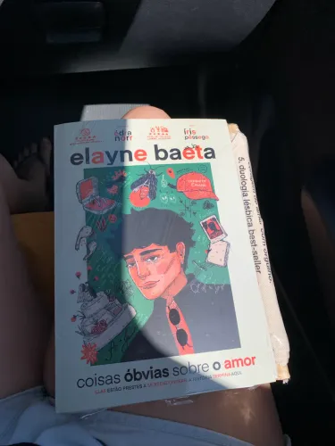 Livro Coisas Óbvias Sobre o Amor