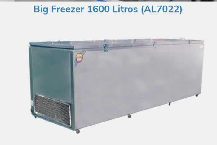 Big Freezer Alaska 1.600lts