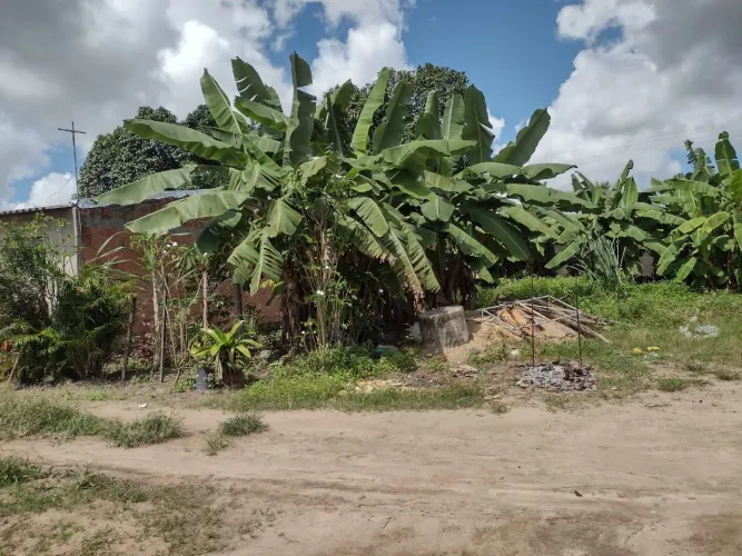 Terrenos