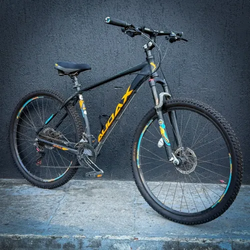 Bicicleta Audax Havok SX 29 - Vow Bikes