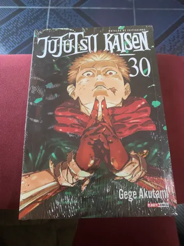 Jujutsu Kaisen Vol 30