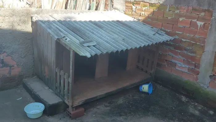 Vende casinha de cachorro