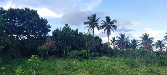 Vende-se um SÍTIO no bairro Juca Rosa