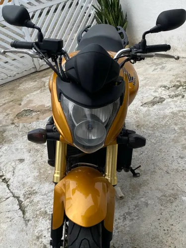 Hornet 2010 