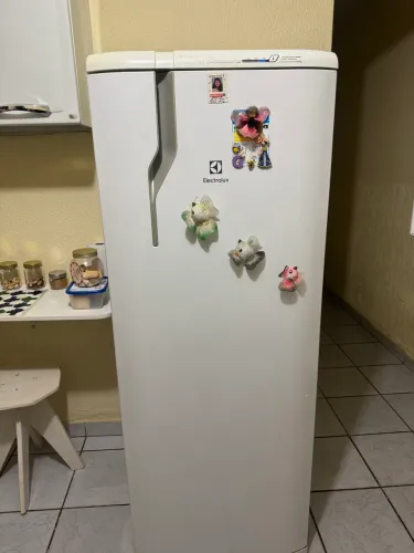 Geladeira Electrolux DEGELO