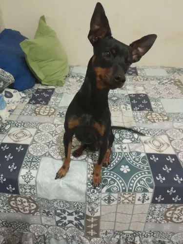 Doação responsável 