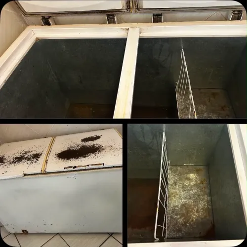 Vendo geladeira ,freezer deitado e estufa