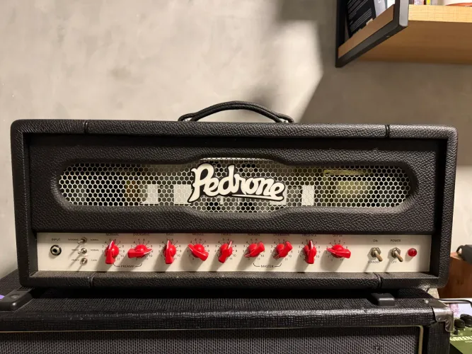 Amplificador Pedrone Buffalo 50W