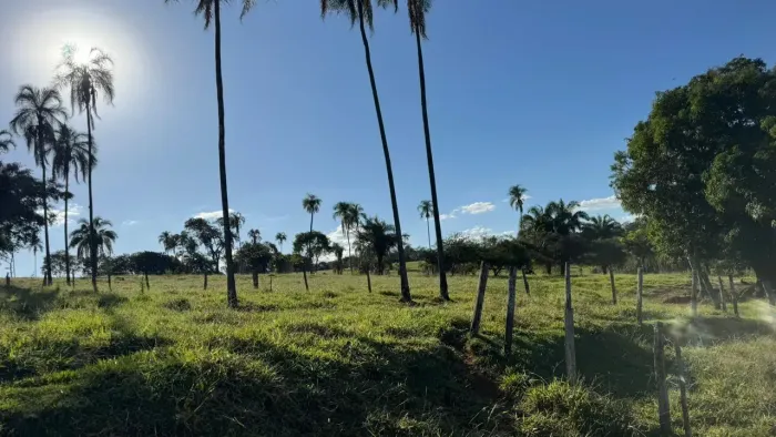 Fazenda à Venda em Trindade-Go  São 38 alqueires