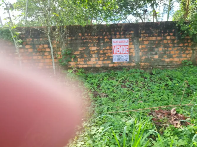 TERRENO URBANO EM CASTANHAL 