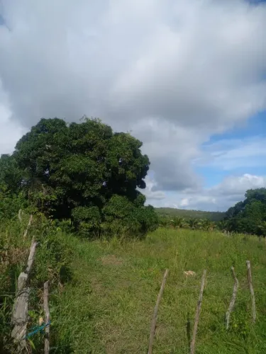 Sítio o do povoado tapera da serra campo