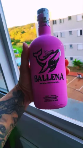 BALLENA MORANGO LACRADO ORIGINAL