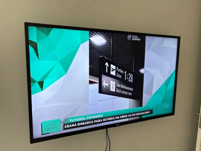 TV LG 44 polegadas