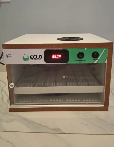 Chocadeira de ovos automática