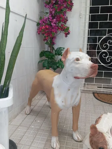 Manequim Pet Pitbull eBuldog Francês tamanho original para varanda e Jardim