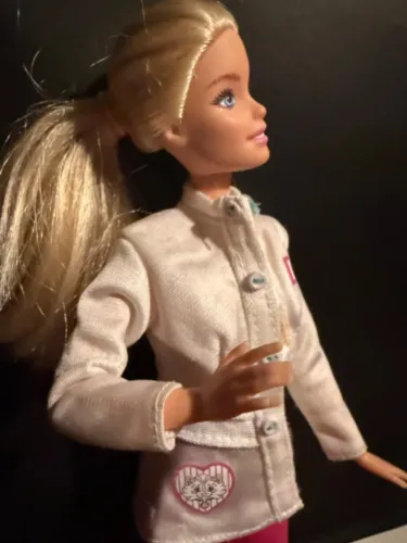 Barbie Veterinária Boneca Barbie Veterinária Original Mattel + Roupa Tema Pet 2015