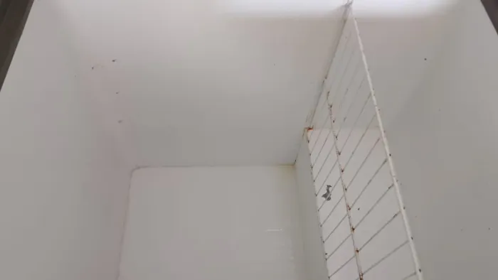 Um freezer