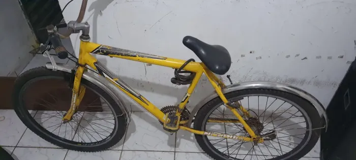 Bicicleta