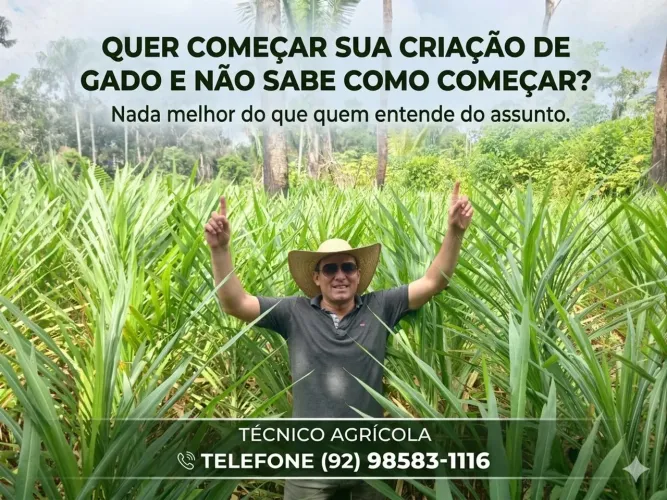 QUER COMEÇAR SUA CRIAÇÃO DE GADO E NÃO SABE POR ONDE COMEÇAR?