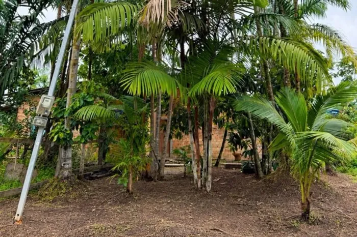 TERRENO EM TERRA FIRME EM FRENTE AO GRANFEST - NOVA BREVES