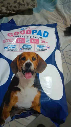 Tapete descartável pra cachorro