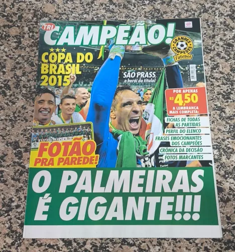 Poster Palmeiras Copa do Brasil 2015