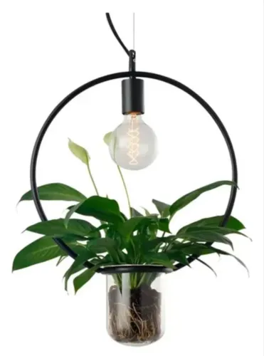 Pendente com vaso de planta