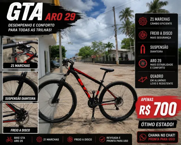 Bicicleta aro 29 