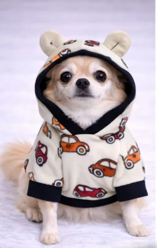 Roupinha Pet Blusa Com Capuz Confeccionado Em Soft Tamanho Único 30cm  Comp. X 42cm tórax 