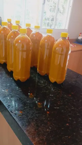 Açafrão PURO