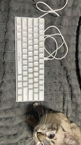 Teclado GAMER 60% Goldentech