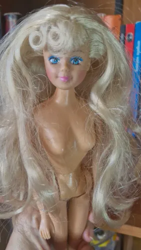 Boneca Petra amiga Barbie