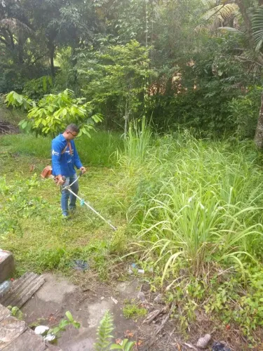 Limpeza de terrenos