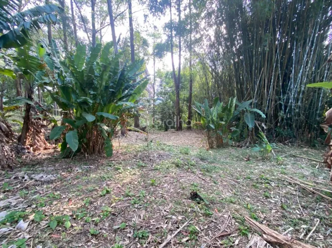 Terreno de 1.500m² no Pantanal