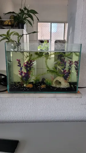 Aquario 22,6 litros com decoração e cascalho