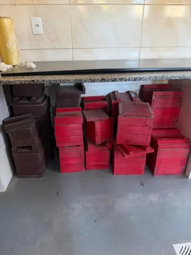 Caixas de Abelha - Mandaçaia 