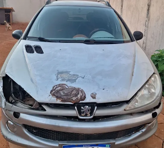 Peugeot 206 SW Presence 1.4/ 1.4 Flex 8V 5P 2007