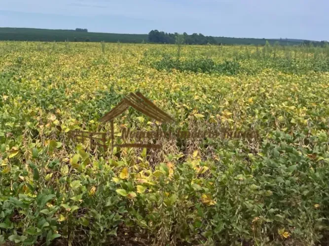 Fazenda com 101 alqueires na região de Avaré-SP