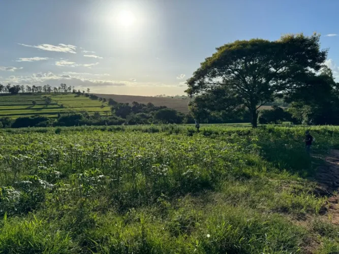 SITIO DE 5,24 ALQUEIRES- TUNEIRAS D* OESTE-PR