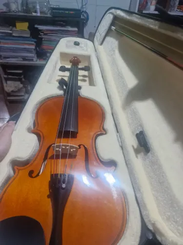 Violino