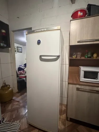 Freezer Vertical 