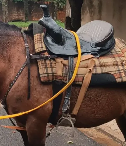2 Selas para cavalo usada + equipamentos!